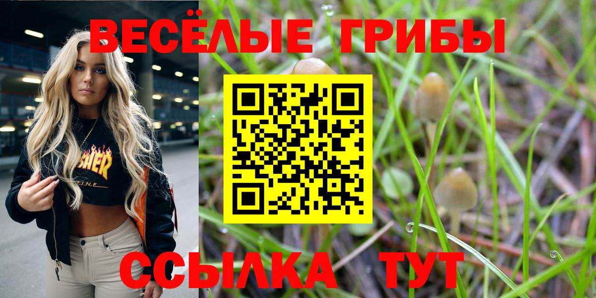 Псилоцибиновые грибы Magic Shrooms Советск