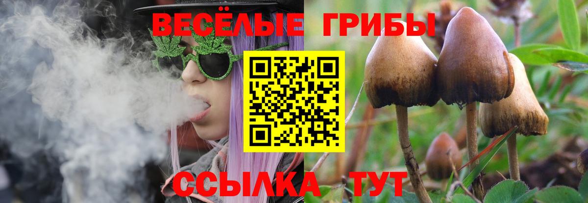 Советск  Галлюциногенные грибы ЛСД  Галлюциногенные грибы прущие грибы  Вход с VPN 